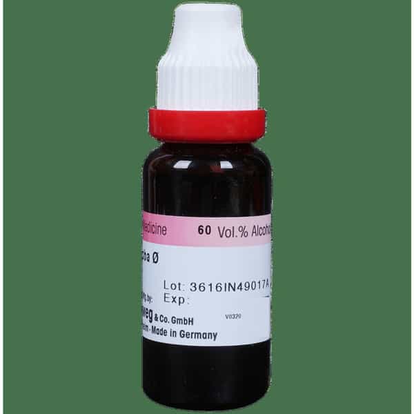 Dr. Reckeweg Ginkgo Biloba Mother Tincture Q 20 Ml