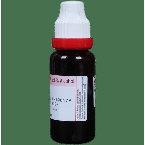 Dr. Reckeweg Ginkgo Biloba Mother Tincture Q 20 Ml