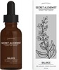 Secret Alchemist Balance - Pre Menstrual Stress Reliever Oil