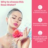 Tnw-The Natural Wash Steam Distilled Rose Water- 100% Natural Toner And Makeup Remover - 100 Ml
