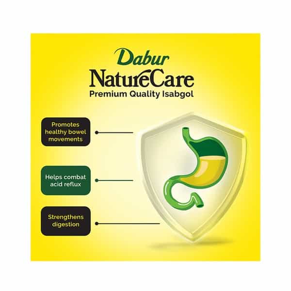 Dabur Nature Care Regular Powder 375 Gm