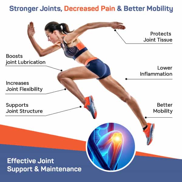 Sheneed Joint Collagen For Knee Caps & Bones & Joint Care | Hydrolyzed Type-Ll Collagen, 60 Capsules