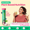 Chicnutrix Plant Based Collagen Builder | 60 Blueberry Flavoured Effervescent Tablets