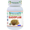 Planet Ayurveda Gaso Plan Capsules - 60 Capsules