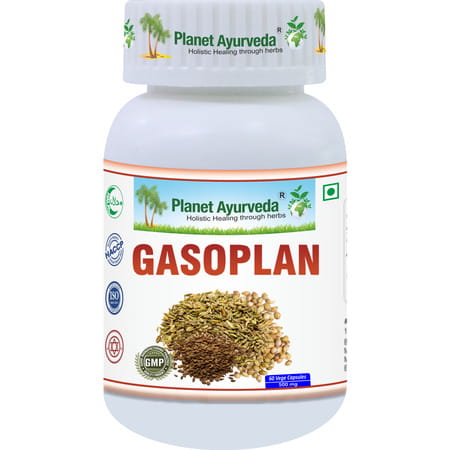Planet Ayurveda Gaso Plan Capsules - 60 Capsules