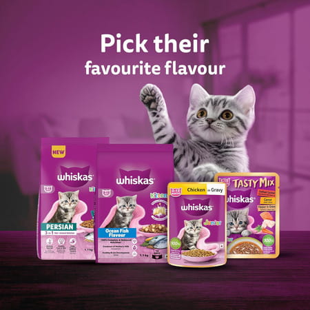 Whiskas Junior Kitten (2-12 Months) Wet Cat Food | Tuna In Jelly | 80 G (Pack Of 56)