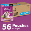 Whiskas Junior Kitten (2-12 Months) Wet Cat Food | Tuna In Jelly | 80 G (Pack Of 56)
