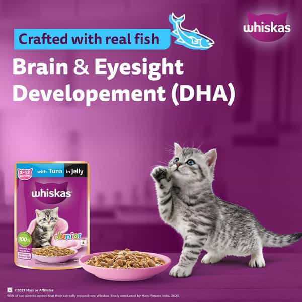 Whiskas Junior Kitten (2-12 Months) Wet Cat Food | Tuna In Jelly | 80 G (Pack Of 56)