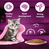 Whiskas Junior Kitten (2-12 Months) Wet Cat Food | Tuna In Jelly | 80 G (Pack Of 56)