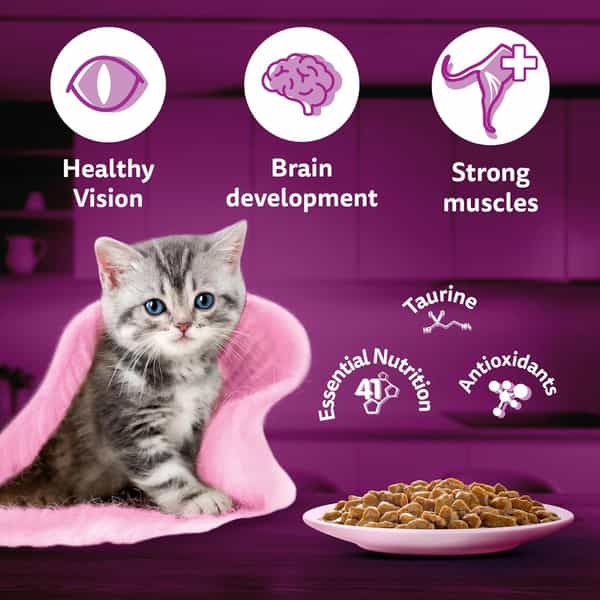Whiskas Junior Kitten (2-12 Months) Wet Cat Food | Tuna In Jelly | 80 G (Pack Of 56)