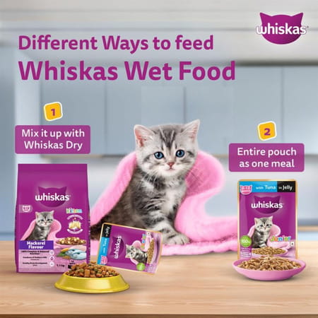 Whiskas Junior Kitten (2-12 Months) Wet Cat Food | Tuna In Jelly | 80 G (Pack Of 56)