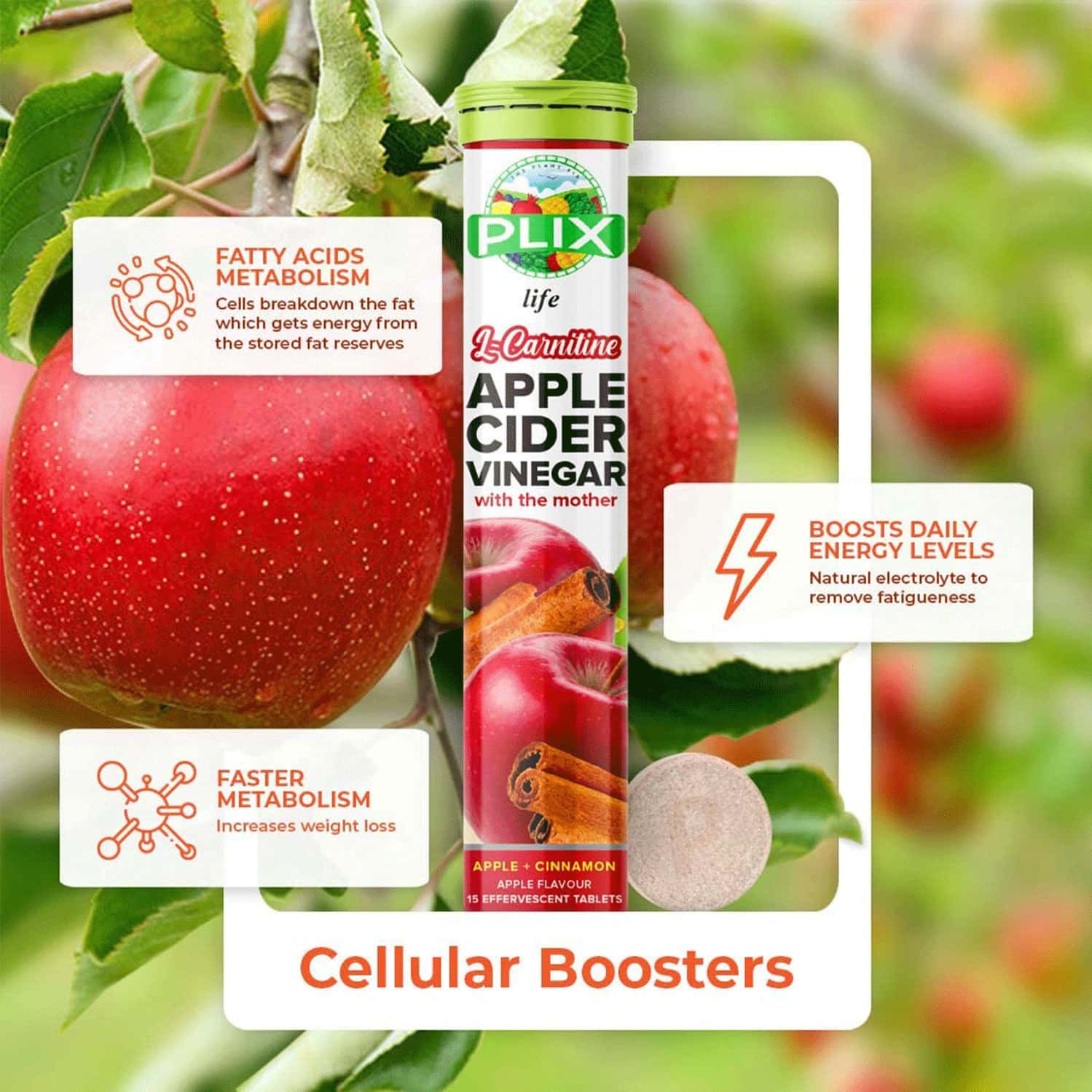 Buy PLIX APPLE CIDER VINEGAR LCARNITINE 15 EFFERVESCENT TABLETS PACK OF 1 BOTTLE CINNAMON