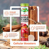 Plix Apple Cider Vinegar L-Carnitine 15 Effervescent Tablets Pack Of 1 Bottle Cinnamon