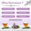 Nutrazen Eternal Brew Rosemary Tea | High Polyphenol Herbal Infusion | 30 Tea Bags
