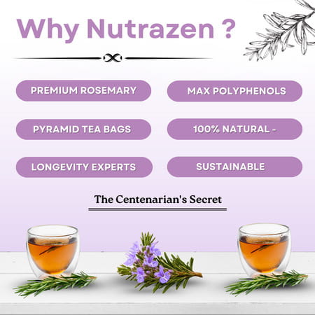 Nutrazen Eternal Brew Rosemary Tea | High Polyphenol Herbal Infusion | 30 Tea Bags