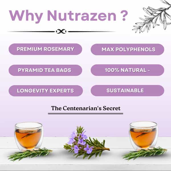 Nutrazen Eternal Brew Rosemary Tea | High Polyphenol Herbal Infusion | 30 Tea Bags