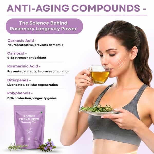 Nutrazen Eternal Brew Rosemary Tea | High Polyphenol Herbal Infusion | 30 Tea Bags