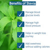 Keeros Stevia Drops Liquid Sweetener- 100% Natural Extract Of Stevia Leaves | 30ml