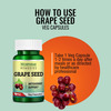 Morpheme Remedies Grape Seed Extract 500 Mg - 60 Veg Capsules