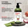 Soulflower Onion Biotin Shampoo With Aloevera & Plant Keratin Restore Shine & Smoothness 300ml