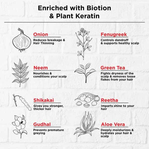 Soulflower Onion Biotin Shampoo With Aloevera & Plant Keratin Restore Shine & Smoothness 300Ml