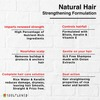 Soulflower Onion Biotin Shampoo With Aloevera & Plant Keratin Restore Shine & Smoothness 300ml