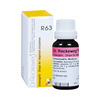 Dr. Reckeweg R63 (Endangitin) (22Ml)