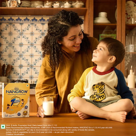 Nestle Nangrow Creamy Vanilla 2-6 Years | Box Of 400g