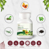 Four Seasons Plato-Fs Tablet - 30 Tabs | Increase Blood Platelet Count