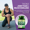 Vlado's Himalayan Organics Alfalfa | Calcium Citrate Malate 1200Mg - 120 Veg Tablets