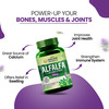 Vlado's Himalayan Organics Alfalfa | Calcium Citrate Malate 1200Mg - 120 Veg Tablets