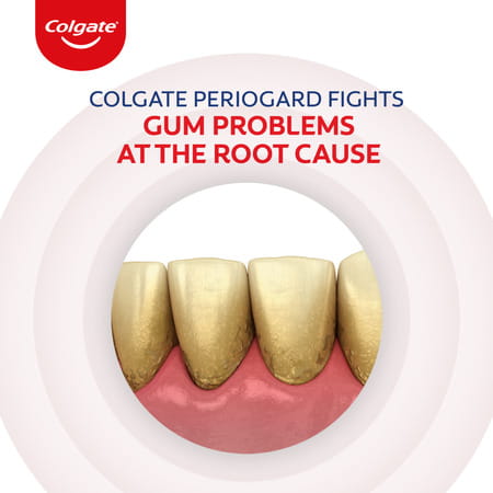 Colgate Periogard Toothpaste 90 Gm
