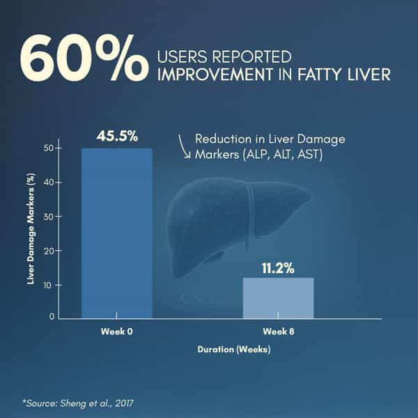 Rasayanam Liver Detox | Nac | Milk Thistle & Herbs | Detox | Digestion & Energy | 60 Tablets