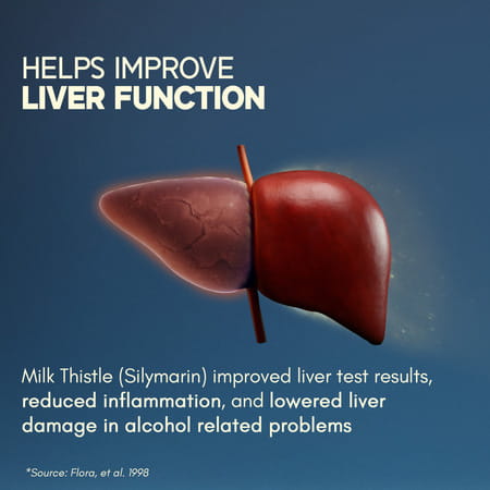 Rasayanam Liver Detox | Nac | Milk Thistle & Herbs | Detox | Digestion & Energy | 60 Tablets