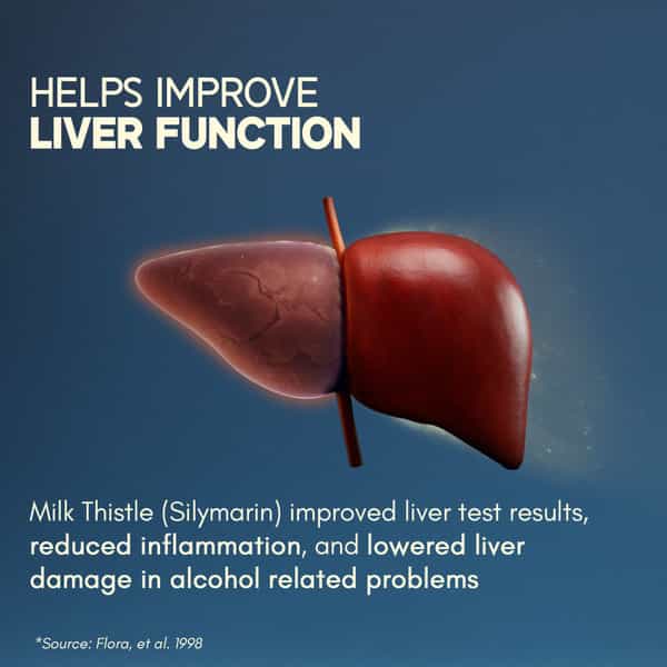 Rasayanam Liver Detox | Nac | Milk Thistle & Herbs | Detox | Digestion & Energy | 60 Tablets