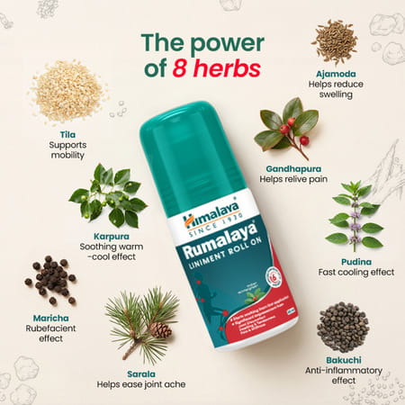 Himalaya Rumalaya Liniment Roll On | Quick Pain Relief | For Back, Neck, Knee & Muscle Pain | 50 Ml