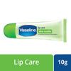 Vaseline Aloe Soothe Lip Care 10 Gm