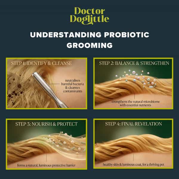 Doctor Dogliitle Bark Avenue Probiotic Perfume (100 Ml)