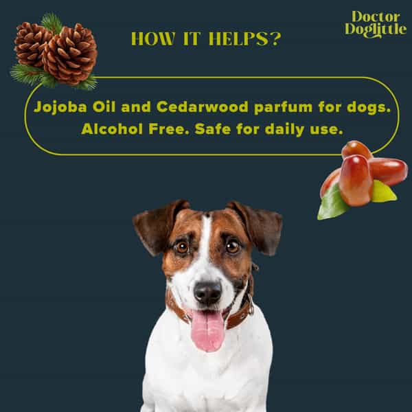 Doctor Dogliitle Bark Avenue Probiotic Perfume (100 Ml)