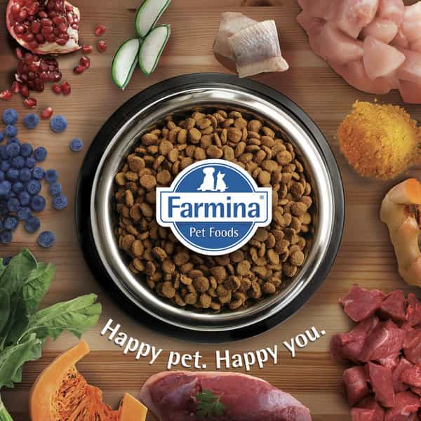 Farmina N&D Ocean Dog Dry Pet Food | Grain Free | Adult Medium & Maxi Breed | 2.5 Kg