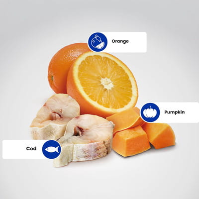 View product image 5