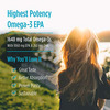 Nordic Naturals Epa Xtra 1640 Mg Omega-3 Fish Oil With Epa & Dha Supplement 60 Softgels