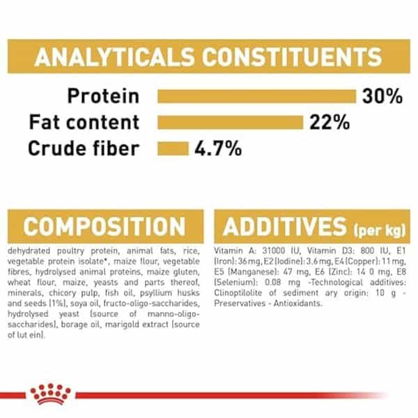 Royal Canin Dry Cat Food Persian Adult - 2Kg