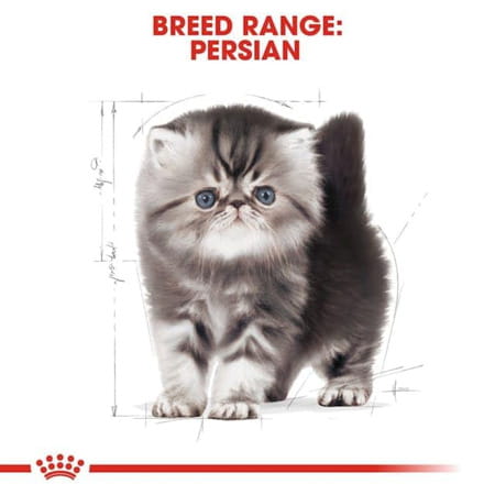 Royal Canin Dry Cat Food Persian Adult - 2kg