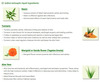 Boroline Suthol Antiseptic Spray - Combo Pack Of Neem | Chandan Aloe Vera Spray (100Ml Each)