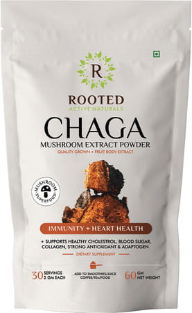 Rooted Actives -chaga Mushroom Extract Powder - Pure Fruit Body Extract - 60gm