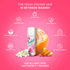 Batiste Instant Hair Refresh Dry Shampoo - Floral & Flirty Blush - 50Ml