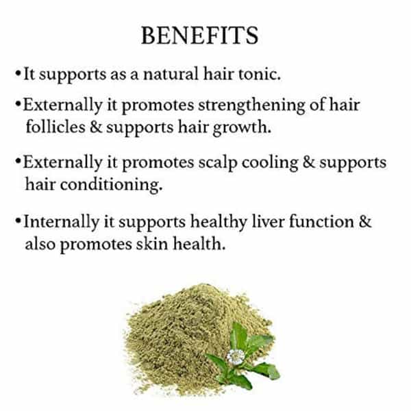 Bixa Botanical Bhringaraj Powder (Eclipta Alba) | Supports Healthy Hair 200G