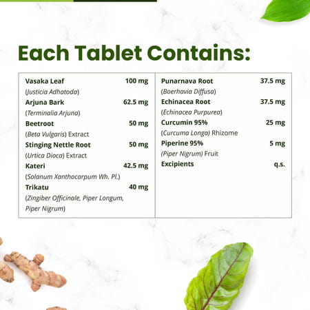 Himalayan Organics Plant Based Lung Detox | Vasaka - Arjuna & Trikatu | Bottle | 60 Veg Tablets