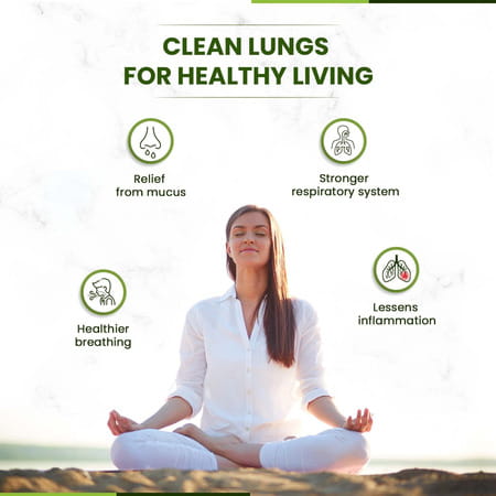 Himalayan Organics Plant Based Lung Detox | Vasaka - Arjuna & Trikatu | Bottle | 60 Veg Tablets